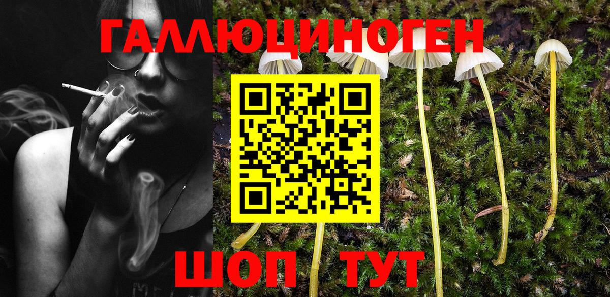 Галлюциногенные грибы MAGIC MUSHROOMS Ленинск-Кузнецкий