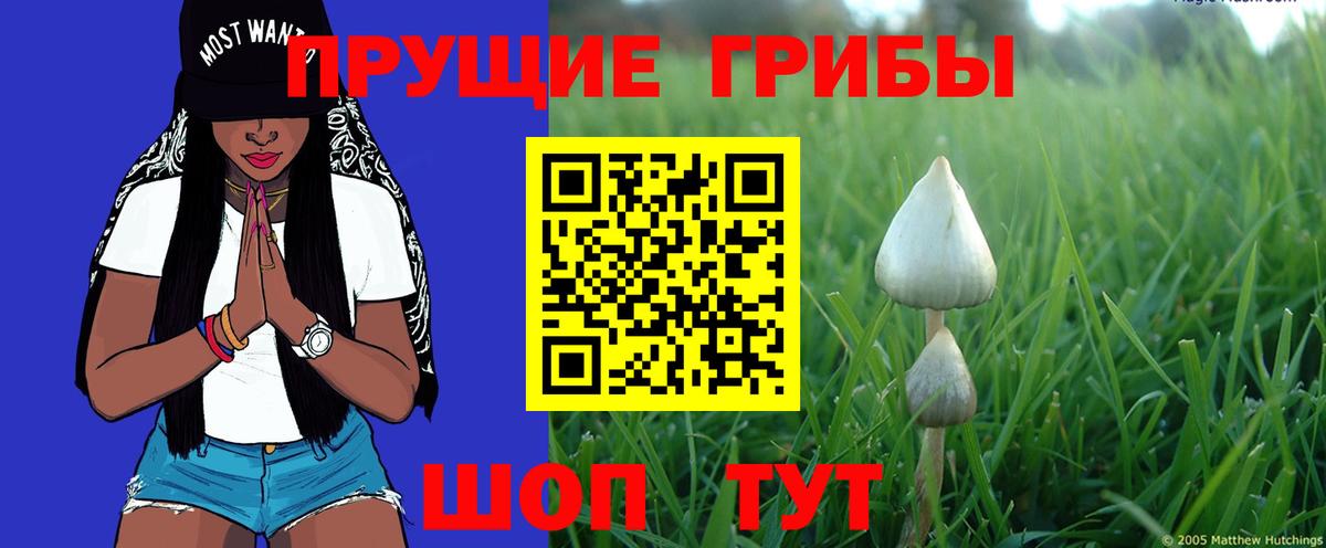 Ленинск-Кузнецкий  Псилоцибиновые грибы GOLDEN TEACHER  Вход с VPN 